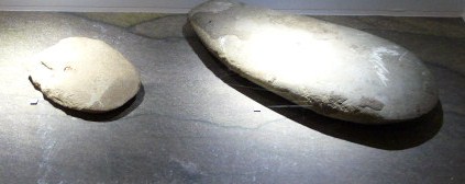 Grinding stones to make lomandra flour 